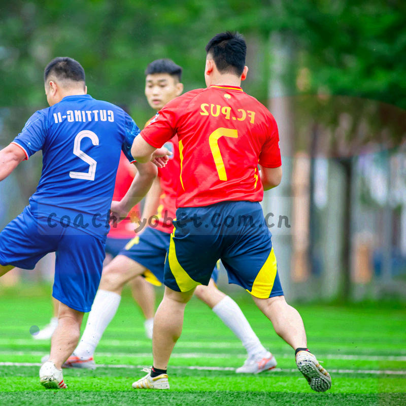 半透明角球落点分布点阵叠加在球场俯视轮廓上